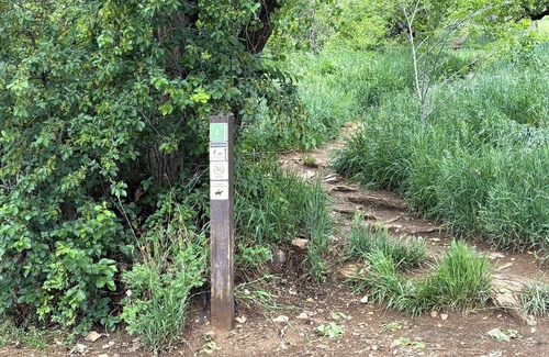 Newlands House | Lovingly Designed Carriage House abutting the foothills in coveted Newlands.