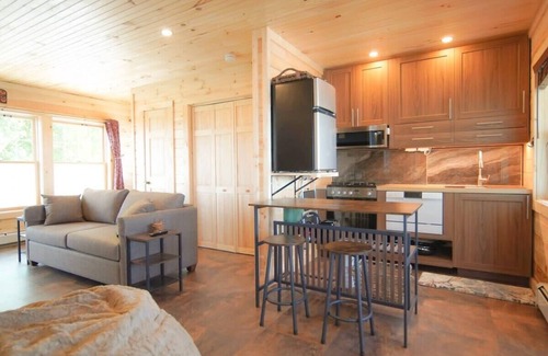 Plattsburgh Apartment | LoZa House rooftop SkyDeck lakefront Pets Hot Tub