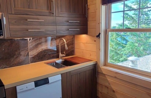 Plattsburgh Apartment | LoZa House rooftop SkyDeck lakefront Pets Hot Tub