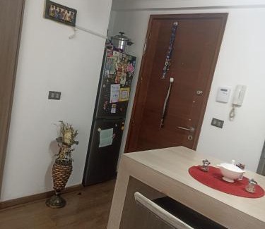 Downtown Santiago Apartment | Luan
