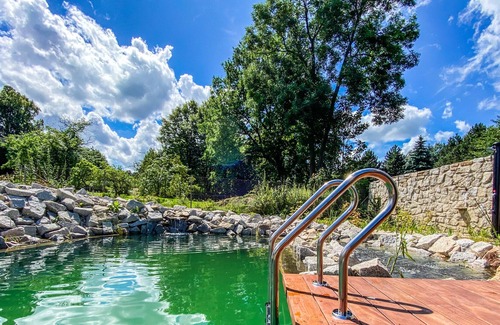 Nove Mesto pod Smrkem Villa | Ludvikov LLP035