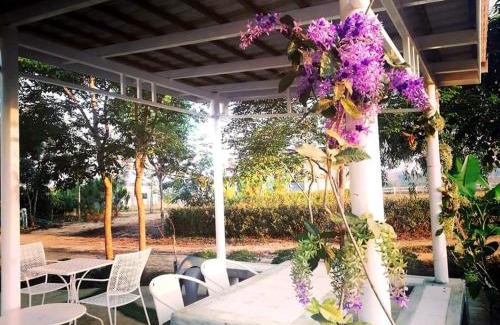 Pong Ta Long House | Luna Rose ลาลูน่าวินเทจโฮมเขาใหญ่