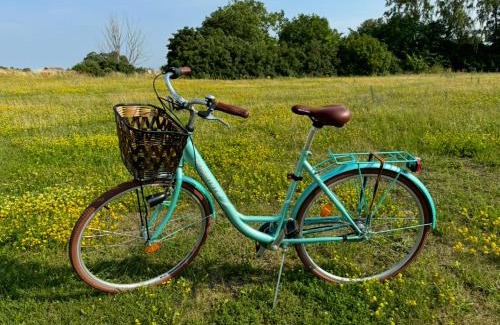 Aahus House | Lunagården