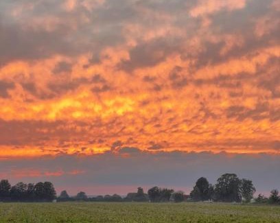 Aahus House | Lunagården