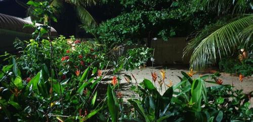 Pointe aux Biches House | Lush Garden Villa with Sand Garden