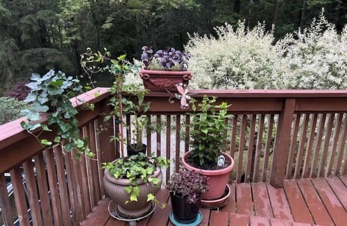 Egremont House | Lux Berkshire Mountain Haven: New reno, private road/acreage, best locale & ski!