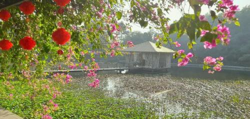 Dat Do Hotel | Lux Home Phước Hải 2