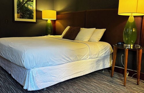 Cordele Hotel | Lux Hotel