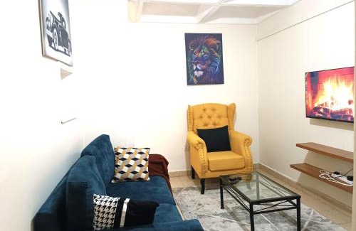 Nairobi Apartment | Lux Suites TRM 1 Bedroom Apartments
