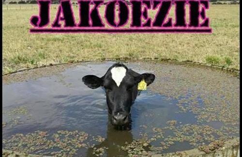 Apeldoorn Zuid Apartment | Luxe WELLNESS apartment Apeldoorn with JACUZZI and SAUNA