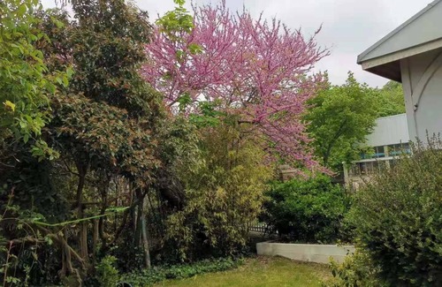 Sevres Apartment | Luxurious 3+1 pcs apartment with garden 3 km from Paris