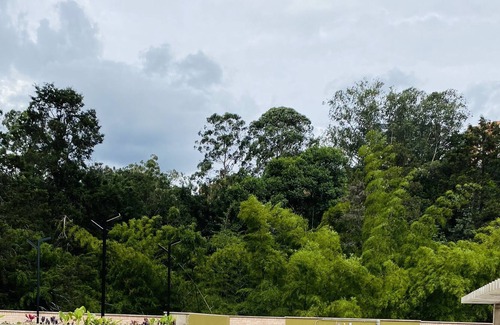 Los Naranjos Apartment | Luxurious and comfortable studio apartment in the heart of Medellín town