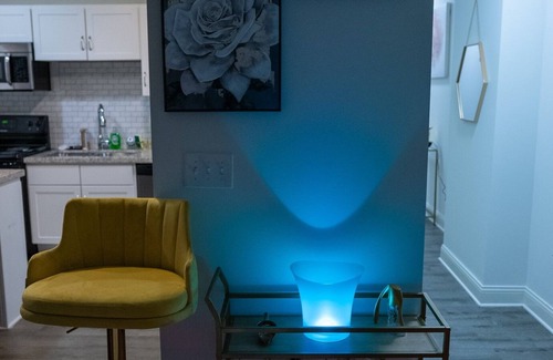 Mile Square Apartment | Luxurious Downtown Indy City View Apartment!