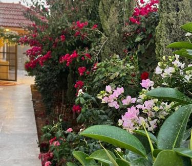 Al-Mafraq Apartment | Luxurious fully equipped independent apartment