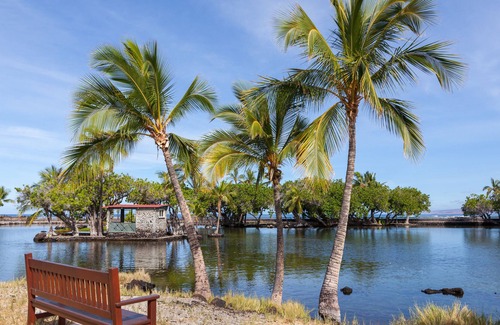 Kamuela Condo | Luxurious Island Villa With Private Beach Pass included!