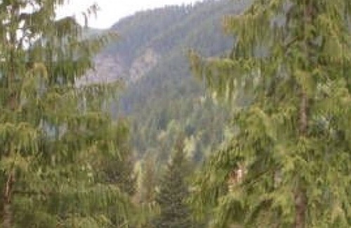 Sicamous House | Luxurious Log Cabin with 20 Acres to Play in, on the Eagle River.