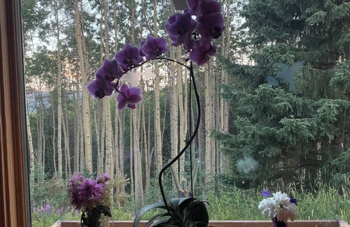 Bragg Creek House | Luxurious & Spacious home on 8 acres with 4-bedrooms +Office, 45min from Calgary