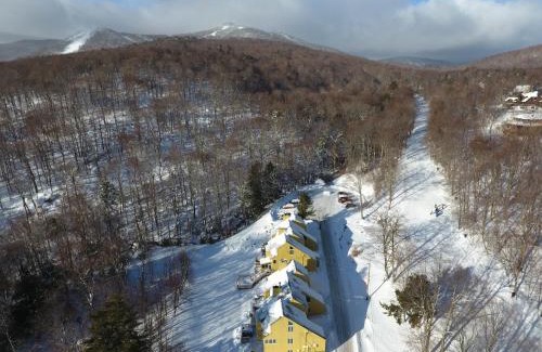 Central Vermont- Killington Apartment | Luxurious Trailside Village One Bedroom Condo #1