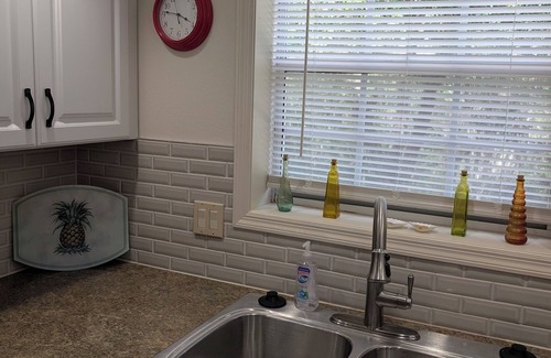 Lutz Condo | Luxury 1BR King Condo, Screened Lanai, Pond Views - Clothing Optional