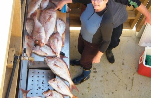 Whangaroa Apartment | Luxury Apartment, with your own private decks
