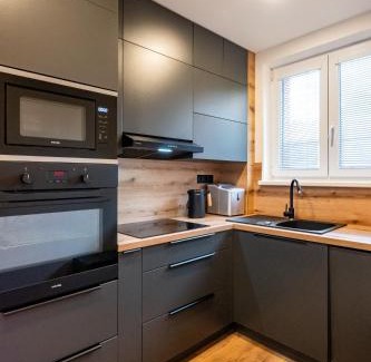 Ostrava Apartment | Luxury apartment with WiFi and Netflix Ostrava-Jih