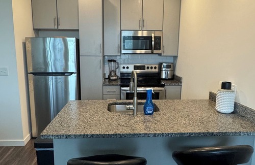 Richmond Apartment | Luxury Apt in Diamond District - Scott’s Addition