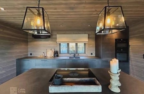 Fla Municipality House | Luxury cabin on Høgevarde, comfort and nature