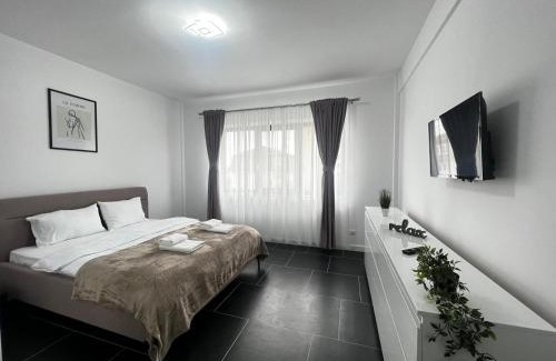 Zamca Apartment | Luxury Cozy Apartments - City Center Suceava