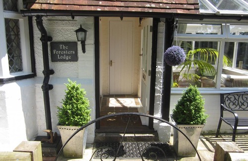 New Forest District Cottage | Luxury Forest Lodge with Games Room in Idyllic Location - Dog friendly, sleeps 8