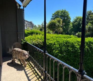 Dover Apartment | Luxury garden apartment under the Castle, Dover