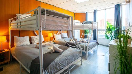 Ensanche Centro Apartment | Luxury Light Apartment - Malaga Center