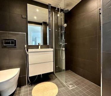 Rovaniemi Apartment | Luxury Penthouse In City Center