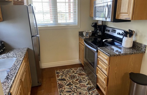 Indian Point Condo | Luxury Penthouse near Silver Dollar City