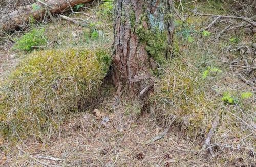 Jegum House | Luxury Retreat with Pool - By Traum Ferienwohnungen