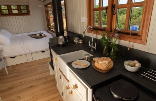 Belluton Cabin | Luxury Shepherds Hut with hot tub and WiFi in rural location near Bath +Bristol