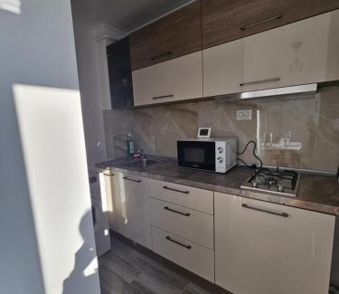 Braila Apartment | Luxury Studio LCF