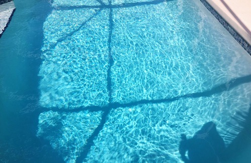 Doral Woods Villa | Luxury villa close to city yet very serene/private/spacious and close to nature