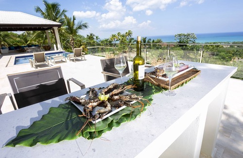 Las Terrenas Villa | Luxury Villa for 15, Ocean and Mountain View , Chef Optional!