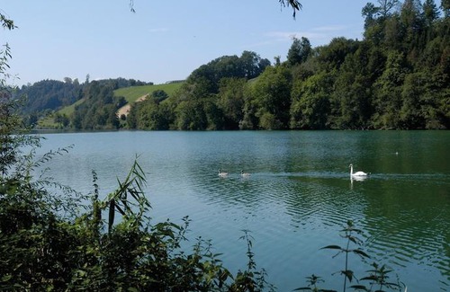 Lucerne Hostel | Luzern Youth Hostel