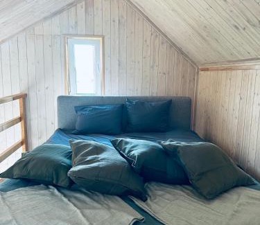 Zemgale House | Lynx