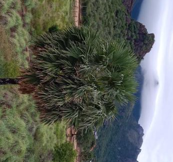 Tenkasi Hotel | M.A.K resorts