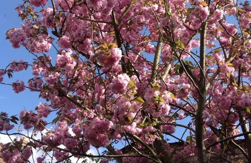 Faubourg de Bethune Apartment | M'amour