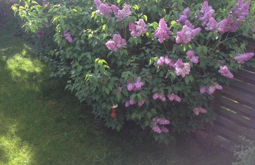 Faubourg de Bethune Apartment | M'amour