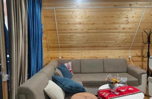 Bagvdanari Villa | M&L