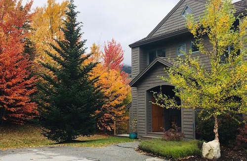 Bretton Woods House | M1 Luxury home a short walk from the Mount Washington Hotel AC heated floor stunning views