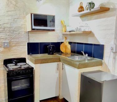 Downtown Johannesburg Apartment | Maboneng