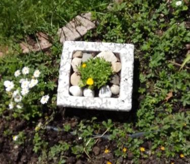 Puspokszentlaszlo House | Mackólak Vendégház és Ökoporta