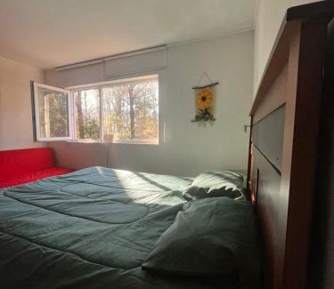 Pucon Apartment | Macu arriendo Pucón