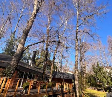 Pucon Apartment | Macu arriendo Pucón