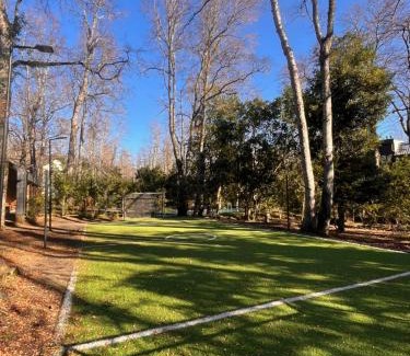 Pucon Apartment | Macu arriendo Pucón